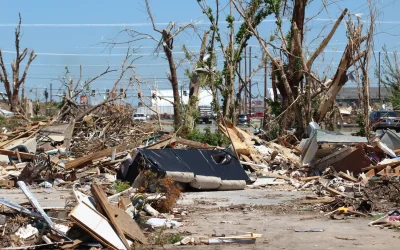 Emergency! Get your City Clean